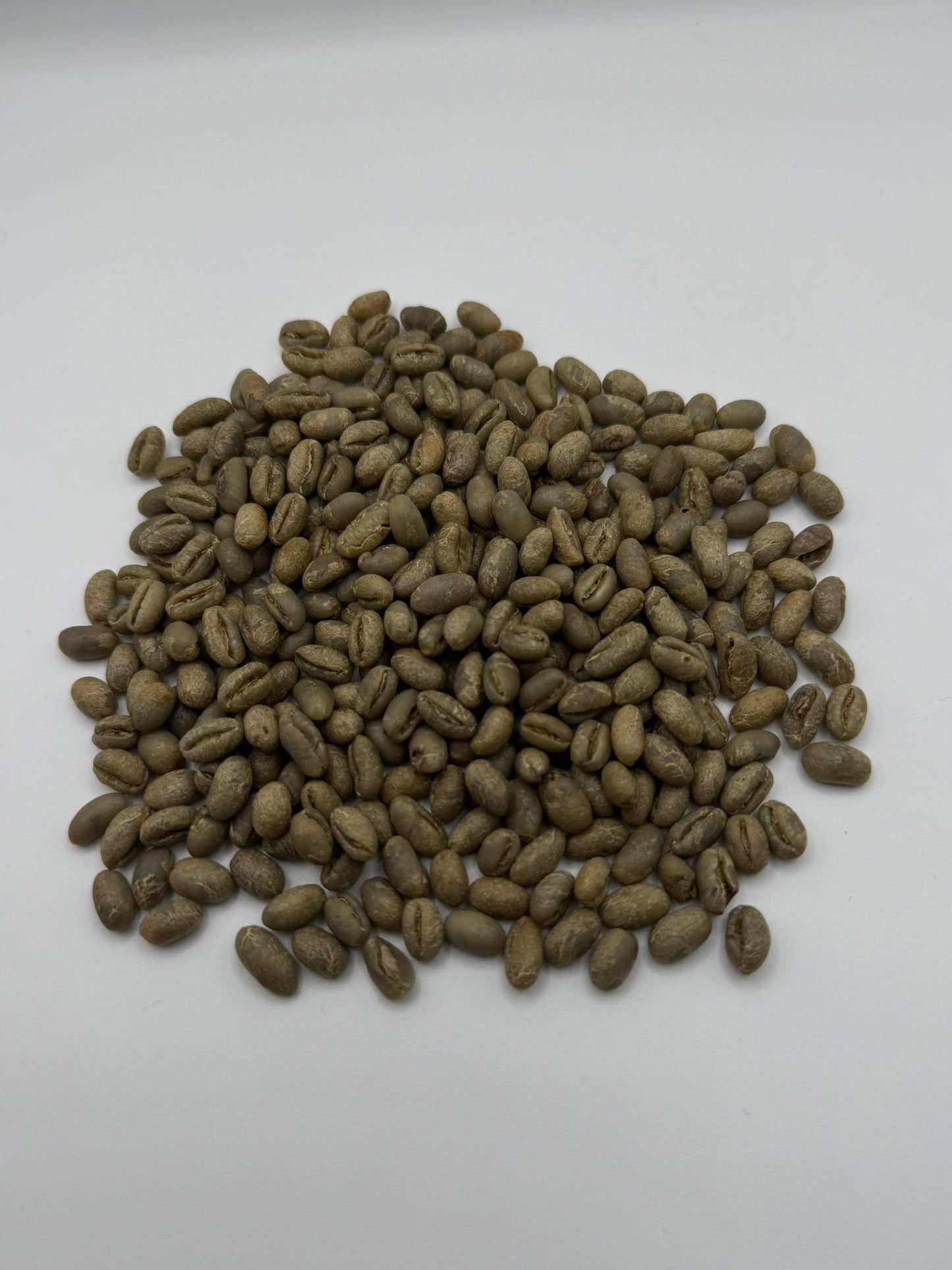 Café vert Arabica Variété Caracolí